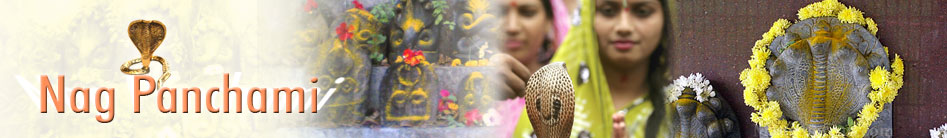 nagpanchami festival
