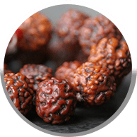 Rudraksha beads