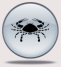 Monthly Horoscope for Cancer October 2013