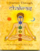 Journey Through Chakras