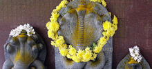 nag panchami festival