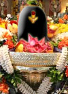 shivratri_puja2