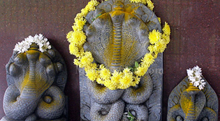 Nag Panchami Festival