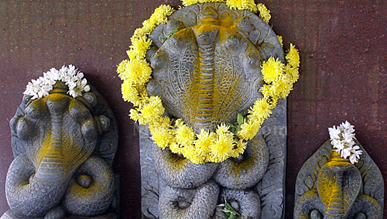 nag panchami festival