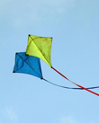 sankranti 16 november 2024
